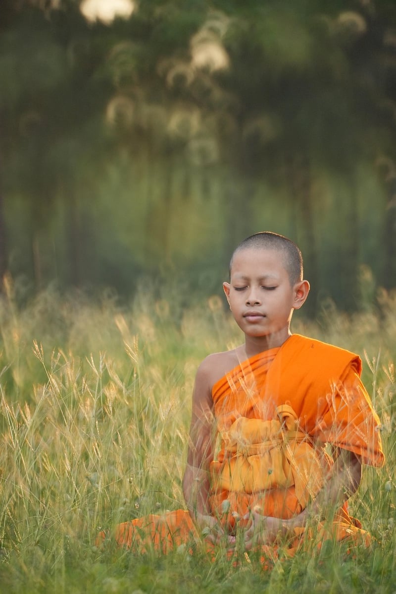 Meditation in martial arts